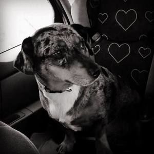 Meet your Posher, Jaden